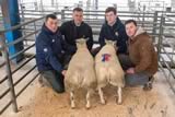 Champion Lambs and First Prize Beltex-3